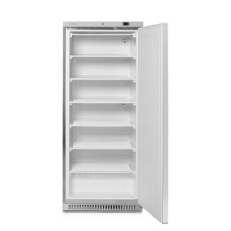 Arktic vrieskast RVS Budget Line - 600L