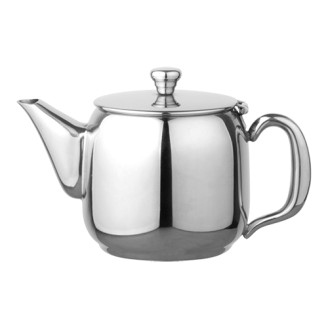 EMGA RVS Theepot 0.50 liter