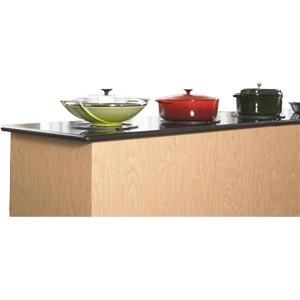CookTek Incogneeto 2 inductie warmhoudplaat, 650 Watt, B652-U2