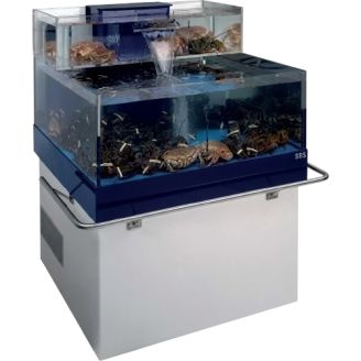 Homarium - leefsysteem voor schaaldieren - CASCADE