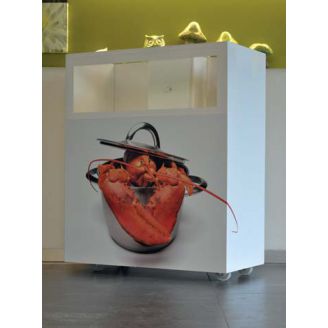 Homarium - leefsysteem voor schaaldieren - OMAR