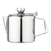 RVS Theepot 0.5 liter